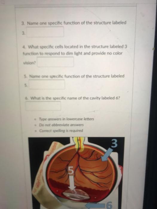 Solved 3. Name one specific function of the structure