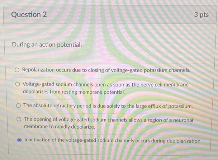 Solved During an action potential: Repolarization occurs due | Chegg.com