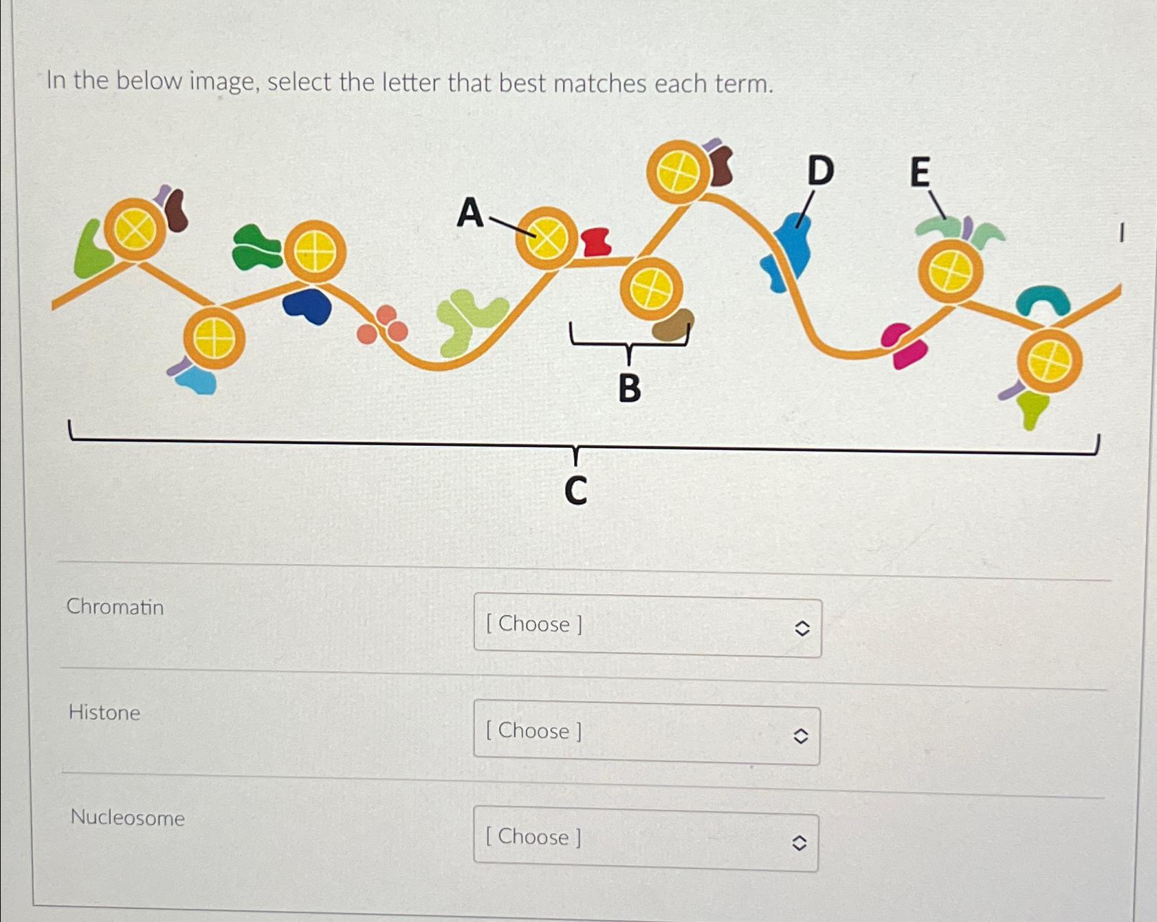 Solved In the below image, select the letter that best | Chegg.com, image size:1683x1342
