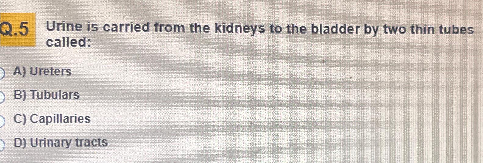 Solved Q. 5urine Is Carried From The Kidneys To The Bladder 