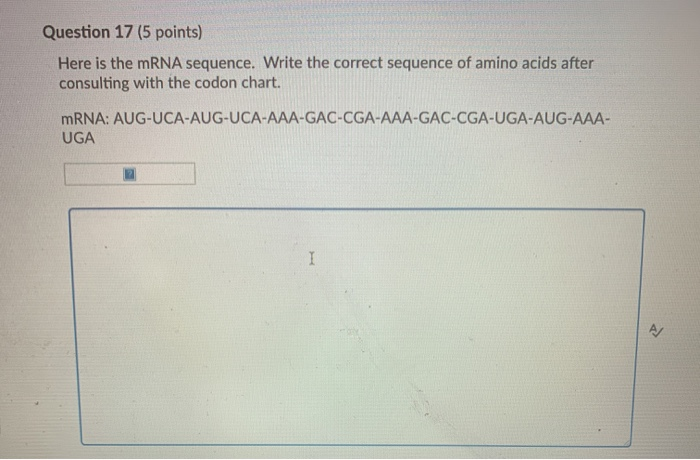 What is the function of anticodon picture