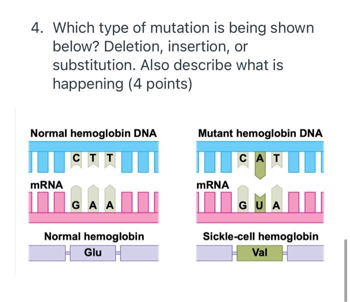 Which mutation is this?