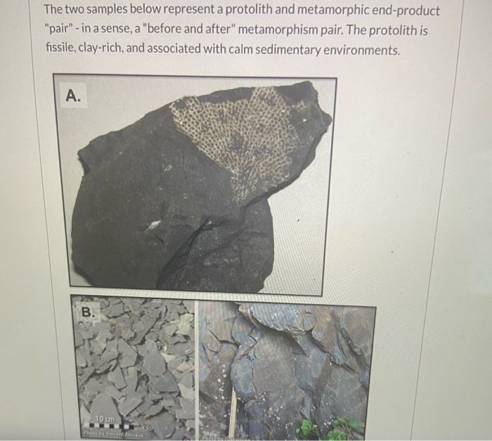 Solved The two samples below represent a protolith and