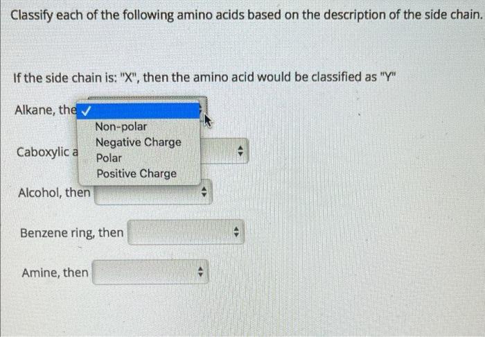 Solved Classify each of the following amino acids based on | Chegg.com