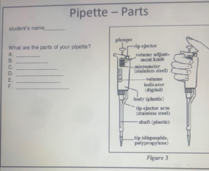 Solved What are the parts of your pipette? A. B. C. D. E.