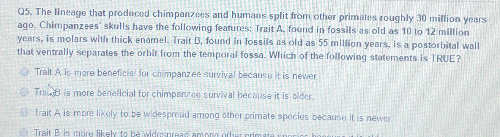 Solved Q5. ﻿The lineage that produced chimpanzees and humans | Chegg.com