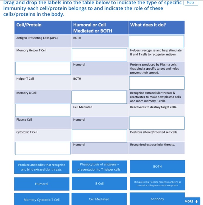 Solved Q. Drag and drop the labels into the table below to