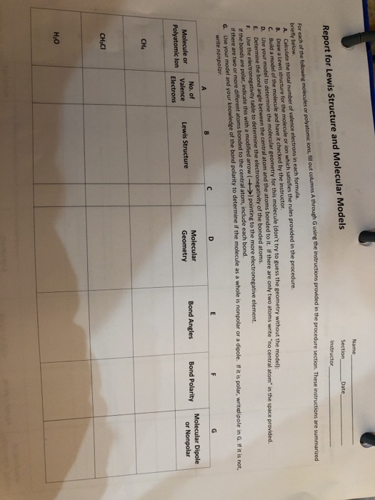 Solved Name Section _ Instructor _Date Report for Lewis | Chegg.com