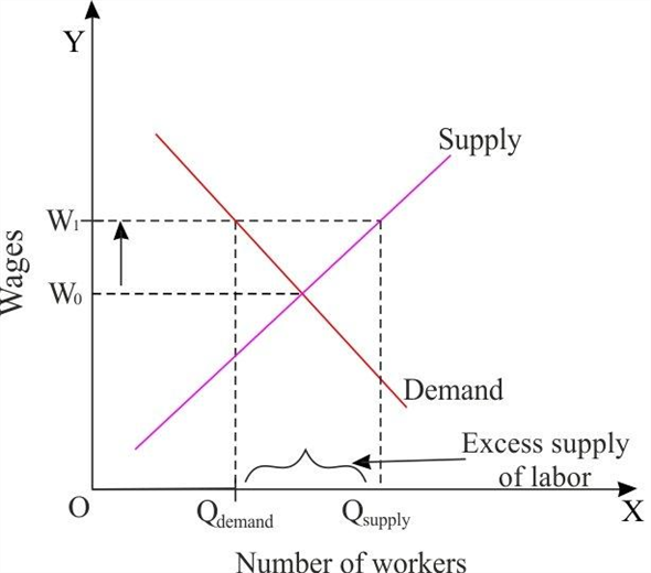 Solved Demonstrate Graphically The Effect Of A Minimum Wage La
