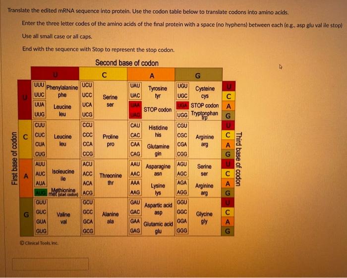 Solved AUG UGU UGU AUG UCU GGG AUA CAC AAC ACC CAU AAU ACC | Chegg.com