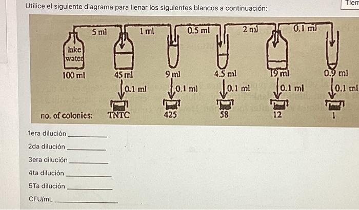 Utilice el siguiente diagrama para llenar los siguientes blancos a continuación: 1era dilución 2da dilución 3era dilución 4ta