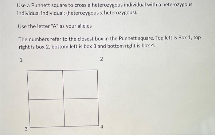Solved Use a Punnett square to cross a heterozygous | Chegg.com