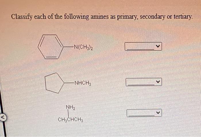 Solved Classify Each Of The Following Amines As 1 Primary