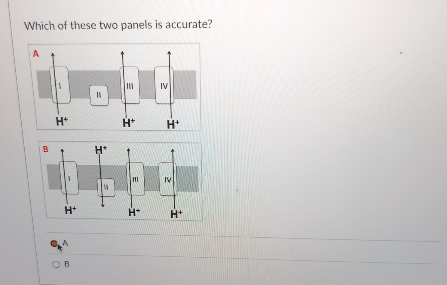Solved Which of these two panels is accurate?AB | Chegg.com