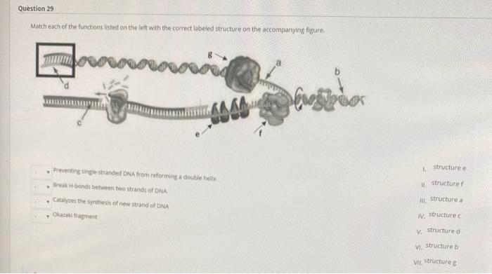 Solved Match each molecule on the left with one of the | Chegg.com