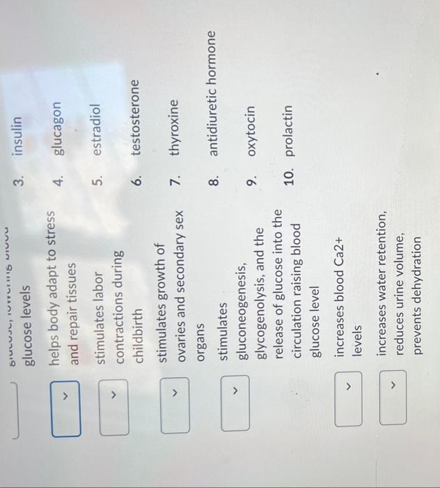 Solved Match the following hormones with their effects on | Chegg.com