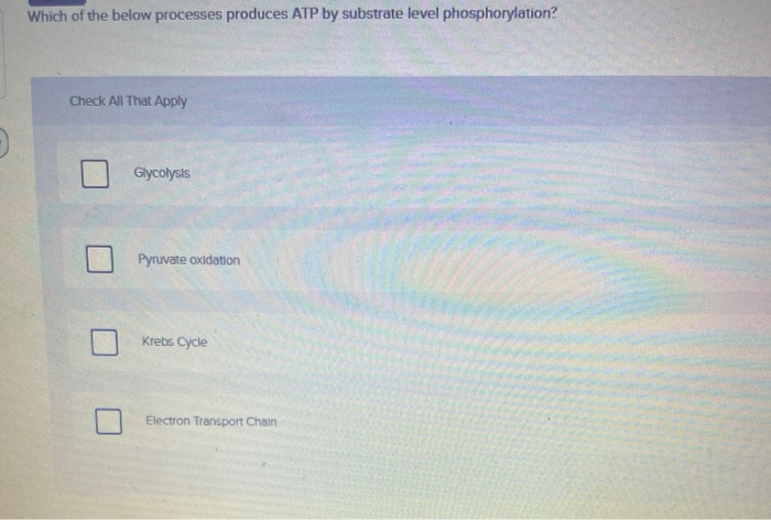 which of these processes produces atp