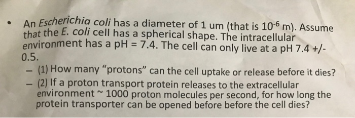 Solved An Escherichia coli has a diameter of 1 um (that is | Chegg.com