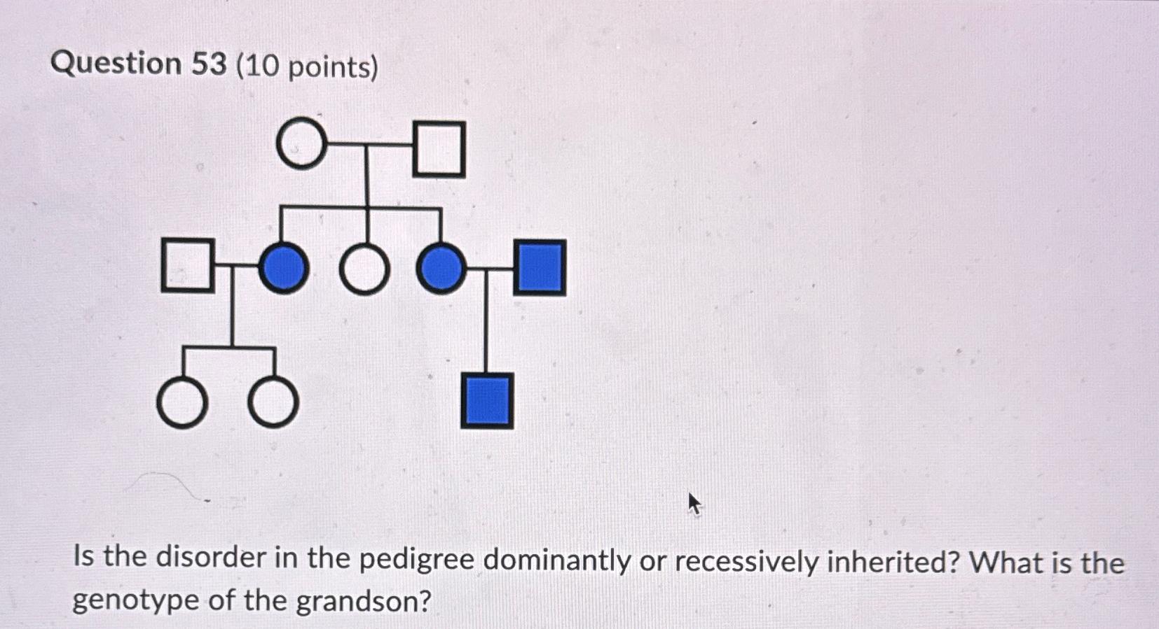 Solved Question 53 (10 ﻿points)Is the disorder in the | Chegg.com