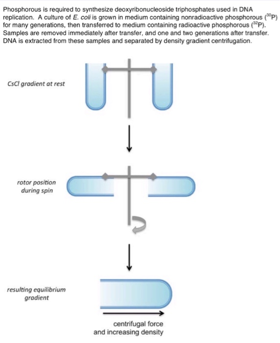 Solved Phosphorous is required to synthesize | Chegg.com