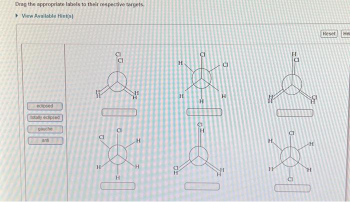 Solved Drag the appropriate labels to their respective | Chegg.com