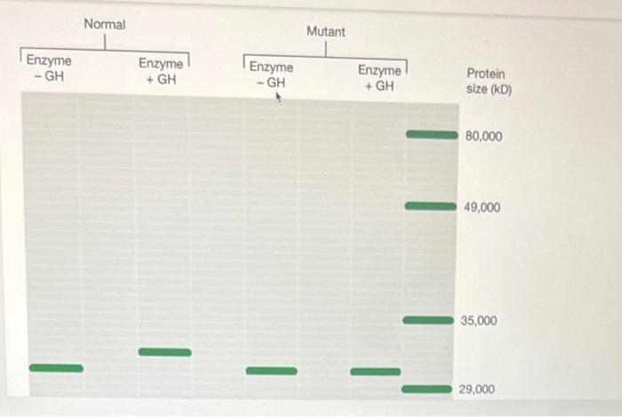 The image below is an example of the end result of an | Chegg.com