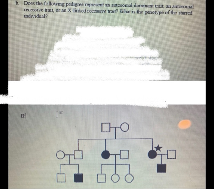 Solved b. Does the following pedigree represent an autosomal | Chegg.com