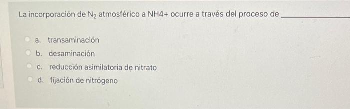 La incorporación de \( \mathrm{N}_{2} \) atmosférico a \( \mathrm{NH} 4+ \) ocurre a través del proceso de a. transaminación