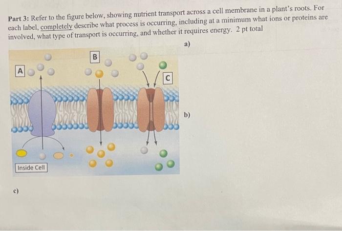 Solved Part 3: Refer to the figure below, showing nutrient | Chegg.com