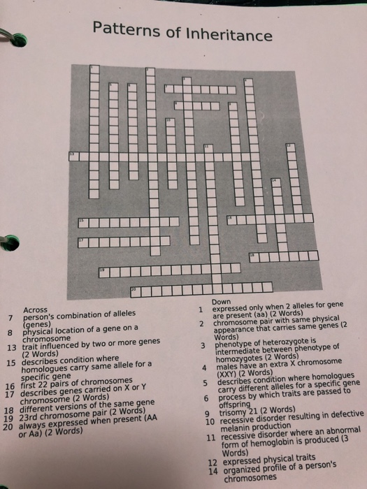Solved Patterns of Inheritance 20 Down 1 expressed only when | Chegg.com