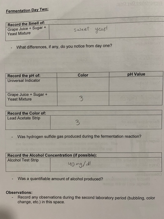 Solved Name ALCOHOL FERMENTATION EXPERIMENT Premise Yeast