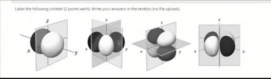 Solved Label the following orbitals (2 points each. Write | Chegg.com