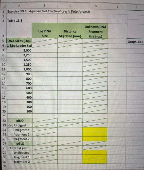 D E A B S 1 Exercise 13 3 Agarose Gel Electrophor Chegg Com