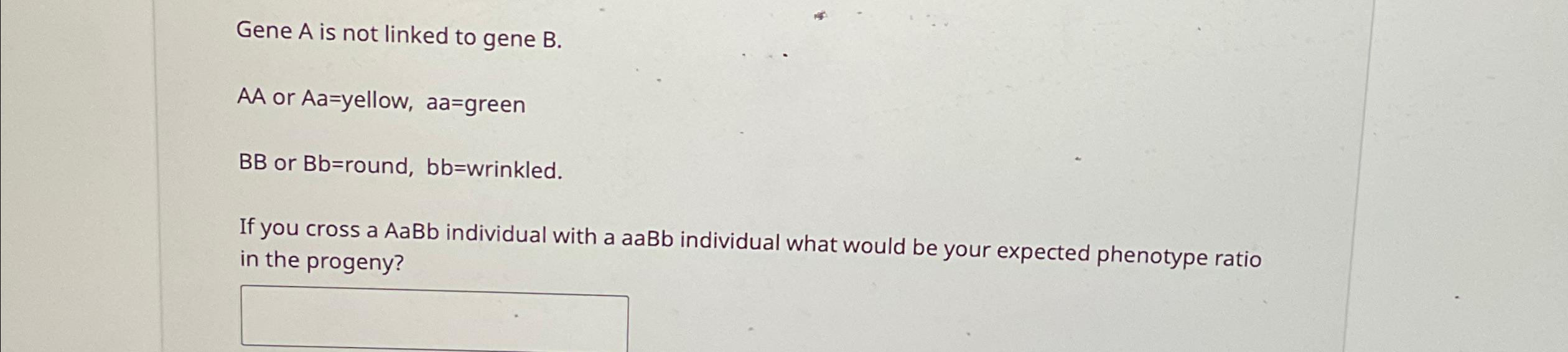 Solved Gene A Is Not Linked To Gene B.AA ﻿or Aa=yellow,aa= | Chegg.com