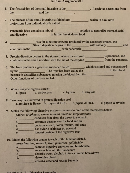 assignment 11 1 study guide questions