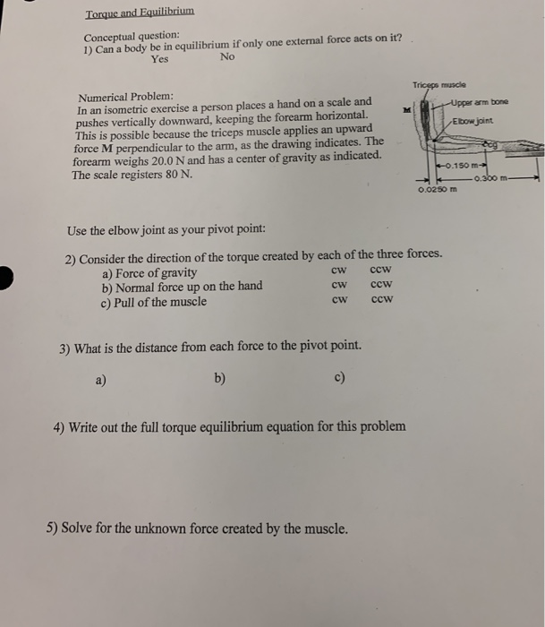Torque and Equilibrium Conceptual question: 1) Can a | Chegg.com