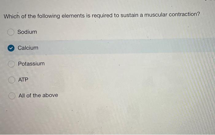 Solved Which of the following elements is required to | Chegg.com