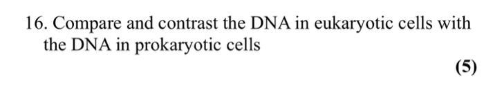 Solved 16. Compare and contrast the DNA in eukaryotic cells | Chegg.com