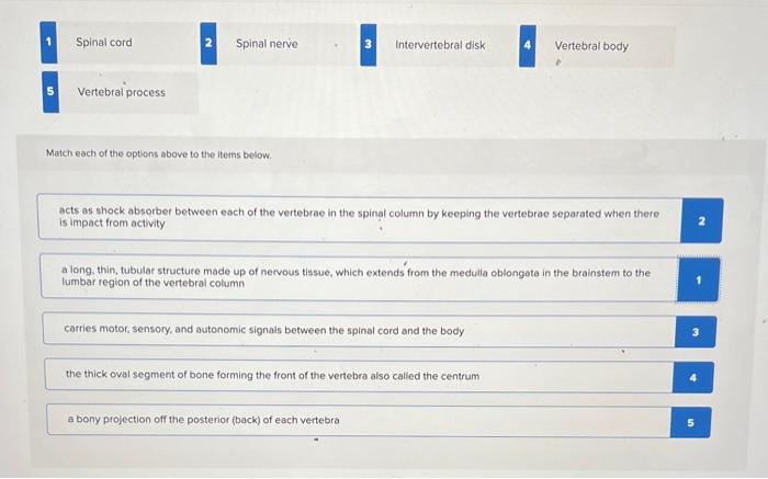 Solved Match each of the options above to the items below. | Chegg.com