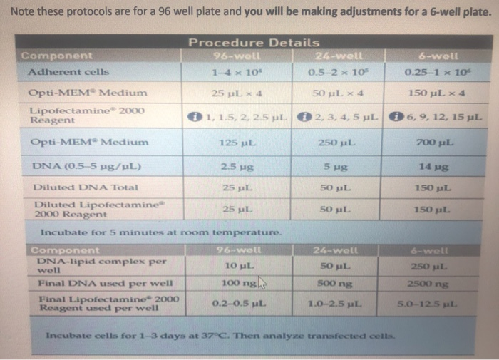Note these protocols are for a 96 well plate and you | Chegg.com