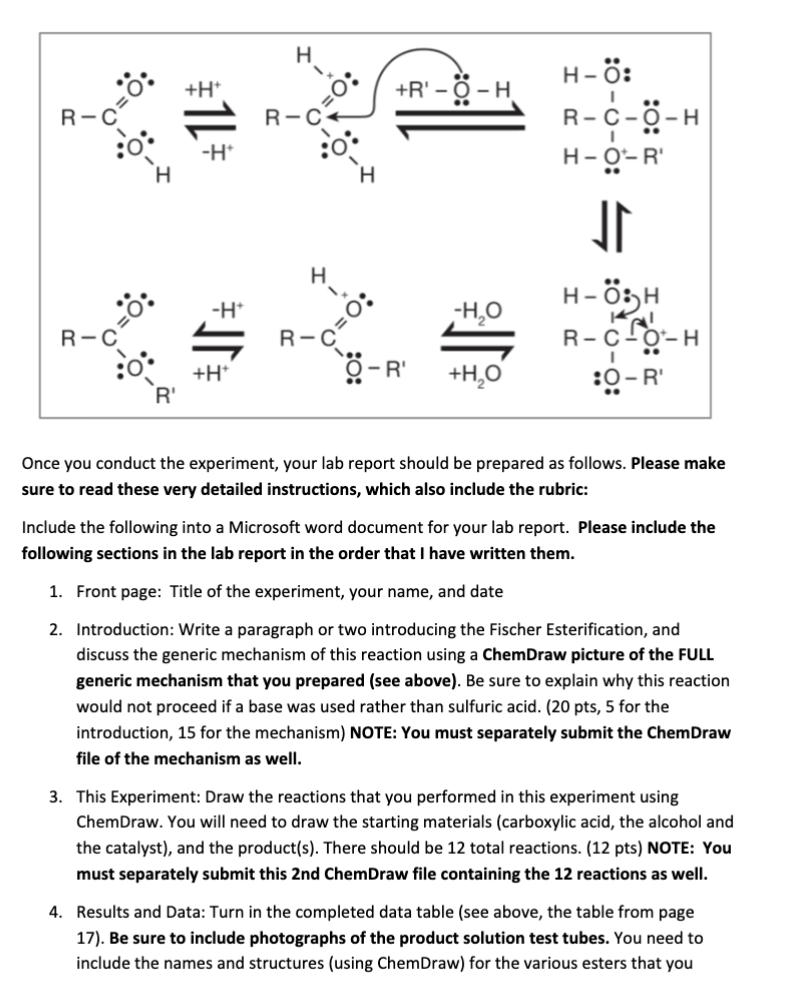 Solved Once you conduct the experiment, your lab report | Chegg.com