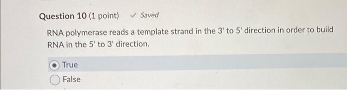 RNA polymerase reads a template strand in the \( 3^{\prime} \) to \( 5^{\prime} \) direction in order to build RNA in the \( 