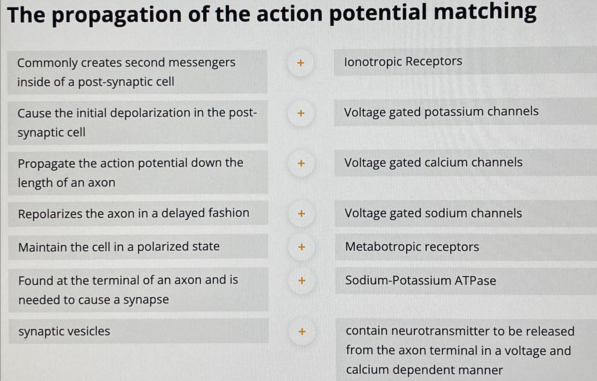 Solved The Propagation Of The Action Potential | Chegg.com