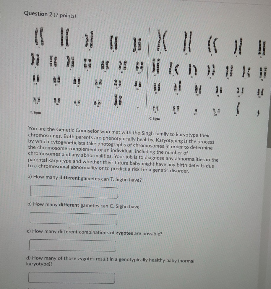 Solved Question 2 (7 points) Store 15 HI Di !!! 16 17 >> T. | Chegg.com