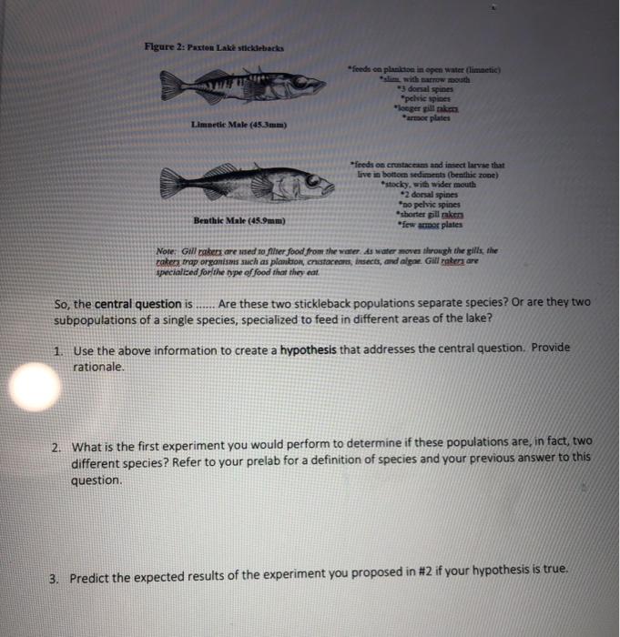 student submitted image, transcription available below