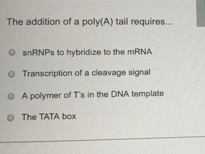 Solved The addition of a poly(A) tail requires... OsnRNPs to | Chegg.com