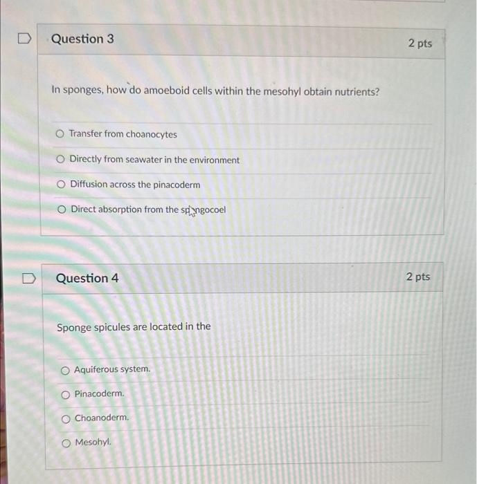 Solved In sponges, how do amoeboid cells within the mesohyl | Chegg.com