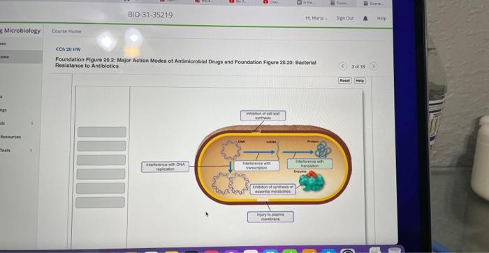 Solved cCh 20+tN Foundation Figure 20.2; Major Action Modes | Chegg.com