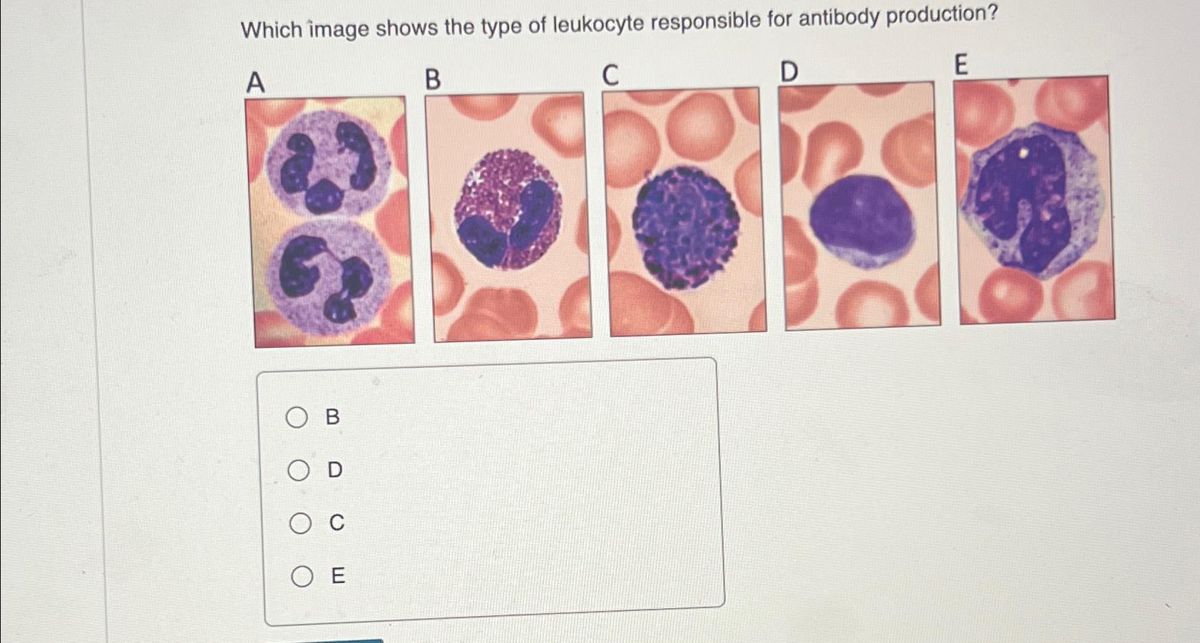 Solved Which Image Shows The Type Of Leukocyte Responsible | Chegg.com