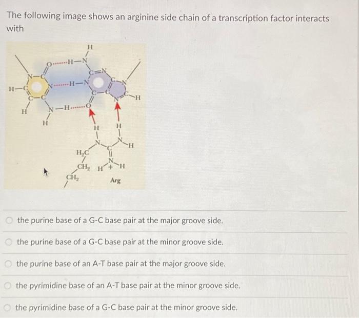 Solved The following image shows an arginine side chain of a | Chegg.com